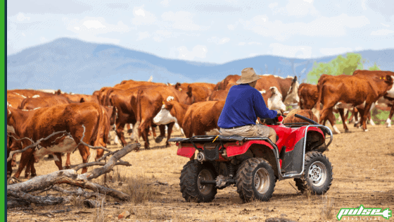 Solar panels for Australian farms